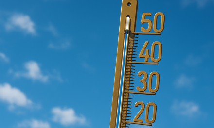 Steden veel heter dan buitengebied: ‘Binnen was het 34 graden bij mijn cliënt’