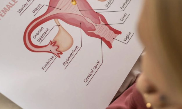 Van feministische strijd tot vandaag: de aanhoudende achterstand in vrouwengezondheidszorg