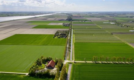 Factcheck: Nederland loopt achter bij biologische landbouw.