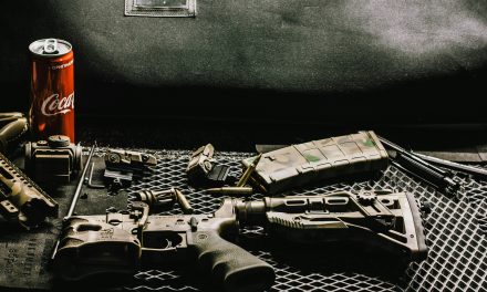 Europa investeert in defensie – Zwitserland volgt met versoepeling van exportregels