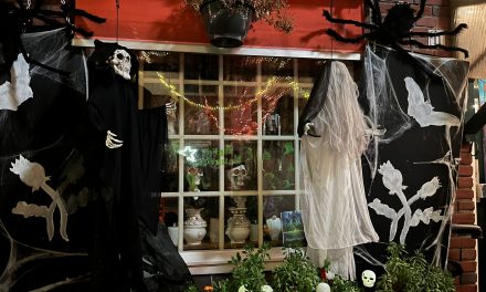 Is Halloween wel een Amerikaans feest?