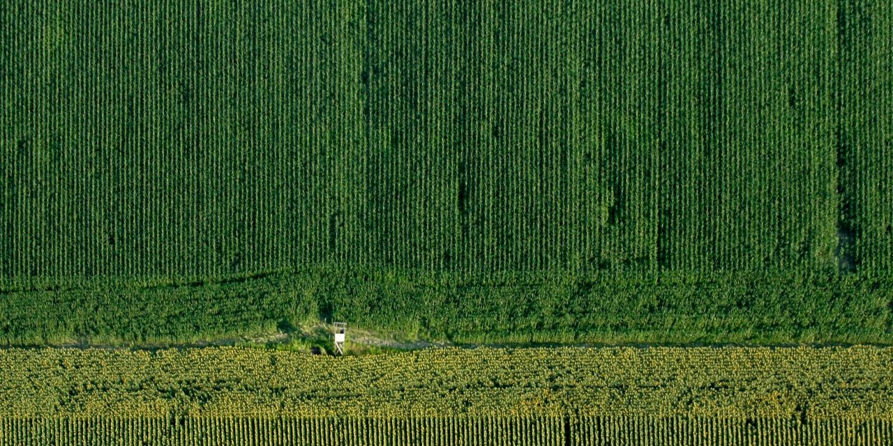 FACTCHECK: a.s.r. verzekeraar de grootste private grondbezitter van Nederland?