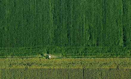FACTCHECK: a.s.r. verzekeraar de grootste private grondbezitter van Nederland?