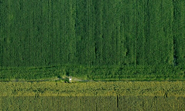 FACTCHECK: a.s.r. verzekeraar de grootste private grondbezitter van Nederland?