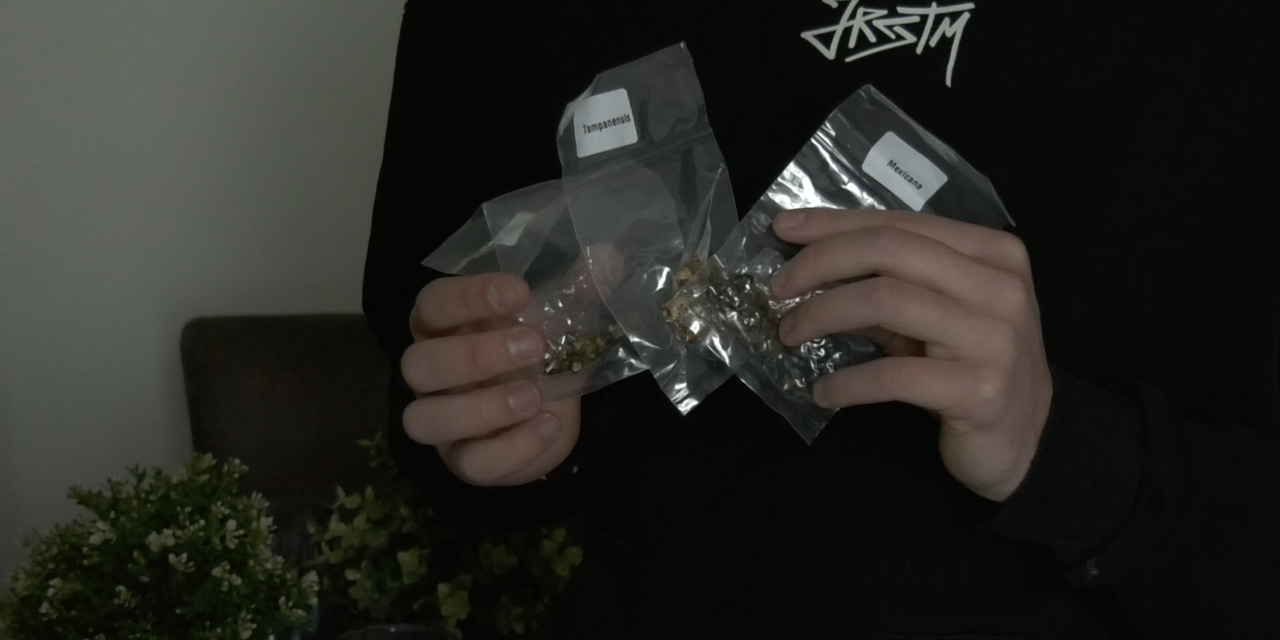 Een kijkje in de wereld van microdoseren