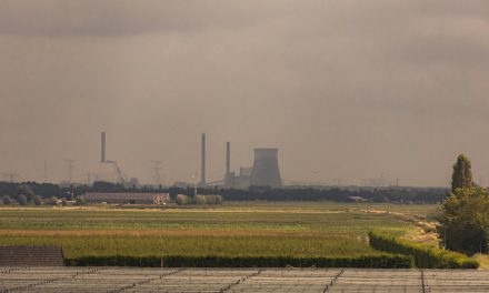 Factcheck: veroorzaakt de voedselproductie bijna een derde van onze nationale uitstoot?