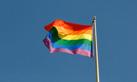 De evolutie van queer activisme in Nederland