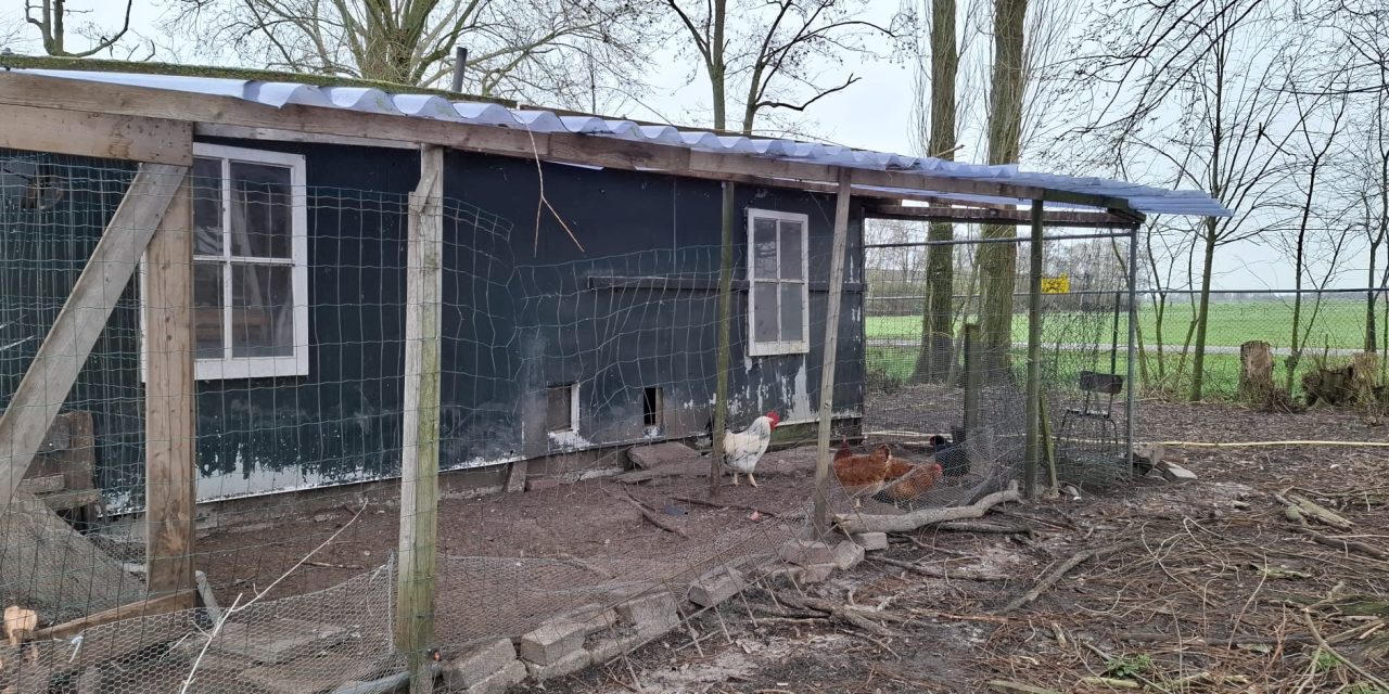 Nieuw RIVM-onderzoek PFAS in eieren roept vragen op over gezondheid