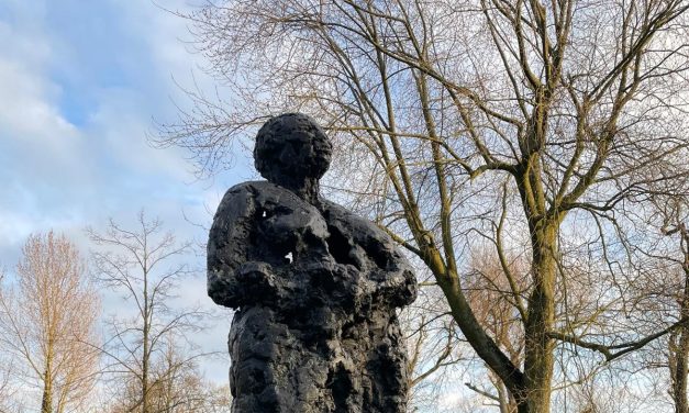 Meelopen tegen discriminatie en racisme