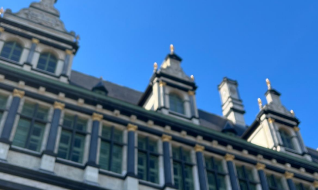 Cordon sanitaire: bescherming van de democratie of beperking ervan?