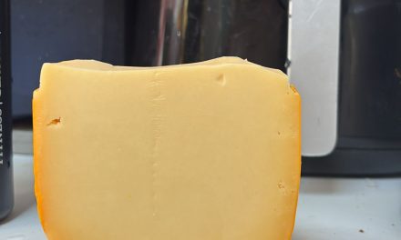 Factcheck: Vermindert kaas eten na alcohol een kater?