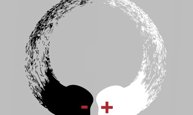 Praten hoogopgeleide eliten polarisatie aan?