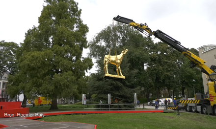 Belang van het Nederlands Filmfestival