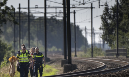 Sabotage legt treinverkeer in Nederland plat