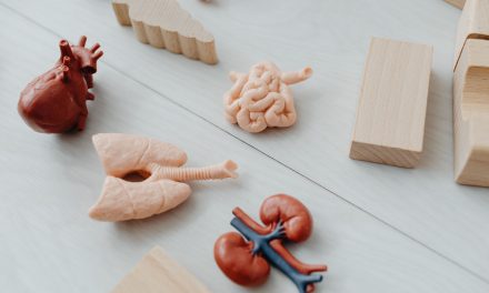 ‘Een tweede kans op leven: Wiebe wil anderen helpen met zijn verhaal’