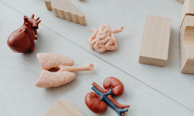 ‘Een tweede kans op leven: Wiebe wil anderen helpen met zijn verhaal’