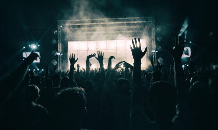 De diversiteit van de Nederlandse dancescene