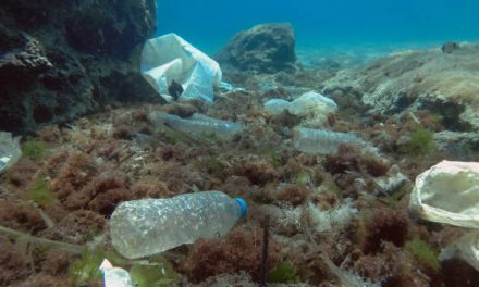 Kunstmatige intelligentie vanuit de ruimte moet plastic in oceanen opsporen