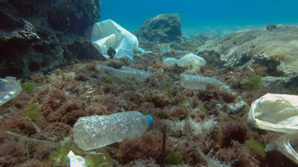Kunstmatige intelligentie vanuit de ruimte moet plastic in oceanen opsporen