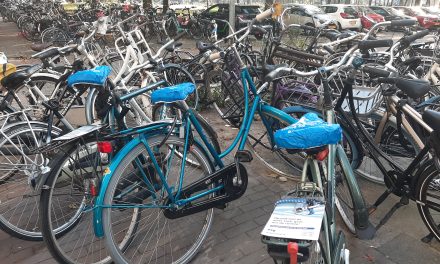 Actie op de Dag van de Witte Stok: ‘Houd de lijn vrij’