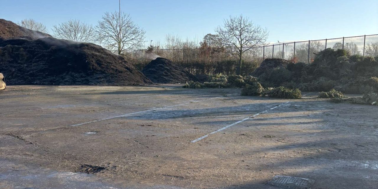 Kerstbomen in Utrecht krijgen duurzaam tweede leven als compost