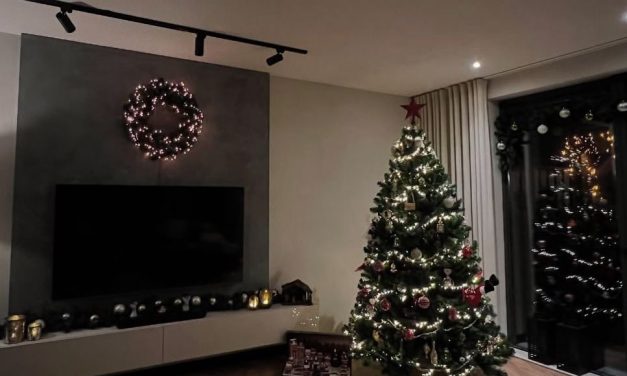 De kerstboom: Traditie of probleem?