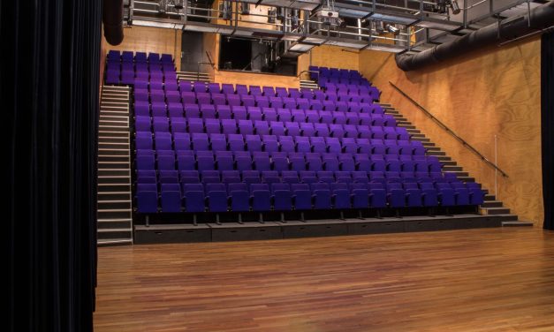 Theater Kikker organiseert festival Kikker Kiest