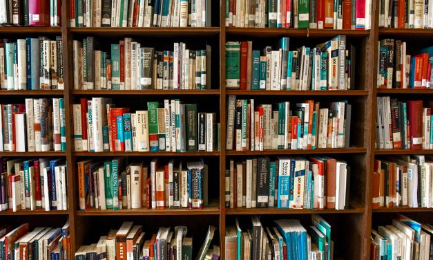 Bibliotheek Neude kanshebber beste bieb van Nederland