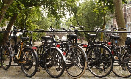 Utrecht uitgeroepen tot meest fietsvriendelijke stad ter wereld