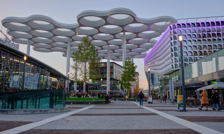 Binnenstad Utrecht grote uitschieter in aantal misdrijven