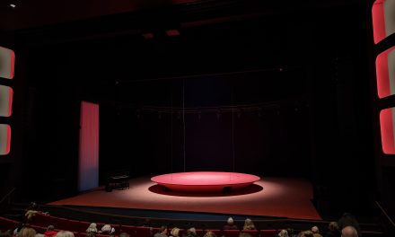 Romana Vrede laat zien hoe vriendschappen functioneren in een gepolariseerde samenleving