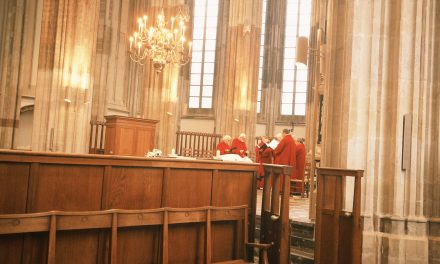 Hemelvaart in de Domkerk trekt jonge gezichten