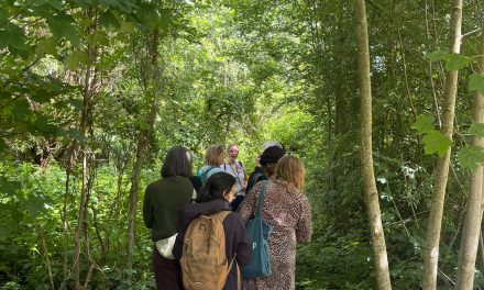 Reportage over de workshop Nature Journaling