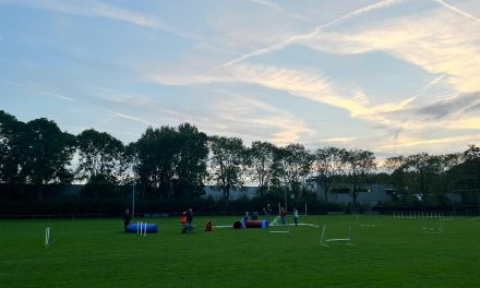 Conflict op Sportpark Overvecht- Noord: Voetbalclub Edo in strijd met Utrechtse Rashonden vereniging over gebrek aan ruimte