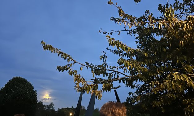 Leermoment over lichtvervuiling tijdens wandeling ‘Nacht van de Nacht’ in het Griftpark
