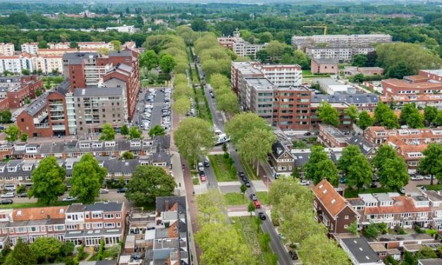Utrecht streeft naar een groenere stad: initiatieven en uitdagingen