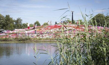 De heuvel van kleding in Griftpark als waarschuwing voor overconsumptie