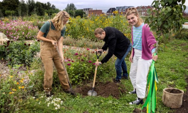 ‘Een groenere stad begint bij jezelf’