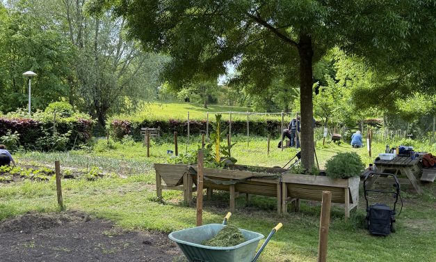 De voedseltuin over de jaarlijkse EKO-Telling