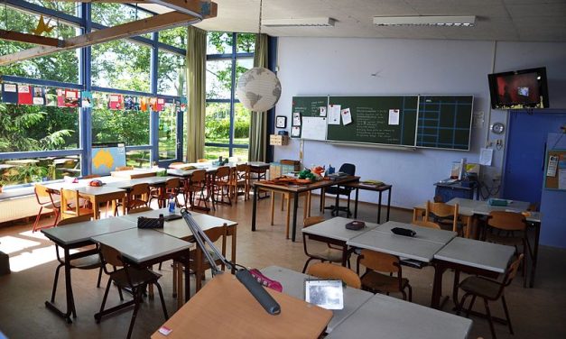 Nieuw leerprogramma meer- en hoogbegaafde Daltonschool Rijnsweerd