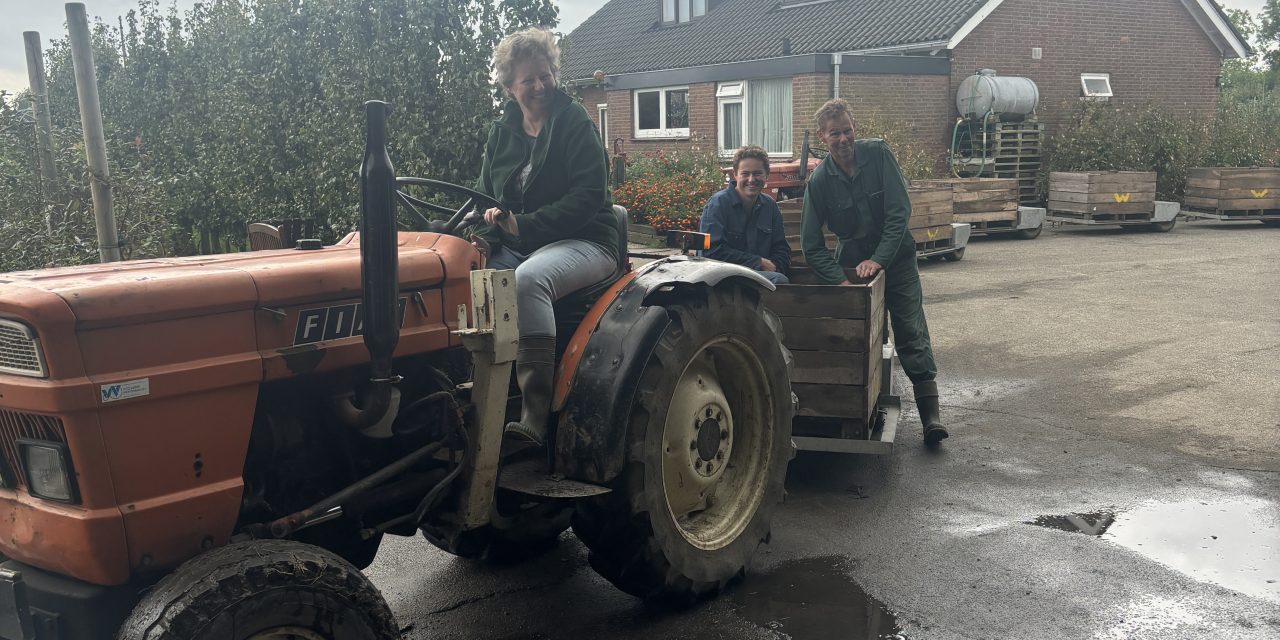 Kinderen plukken appels en kennis bij fruitteelt bedrijf Westeneng