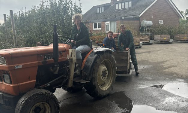 Kinderen plukken appels en kennis bij fruitteelt bedrijf Westeneng