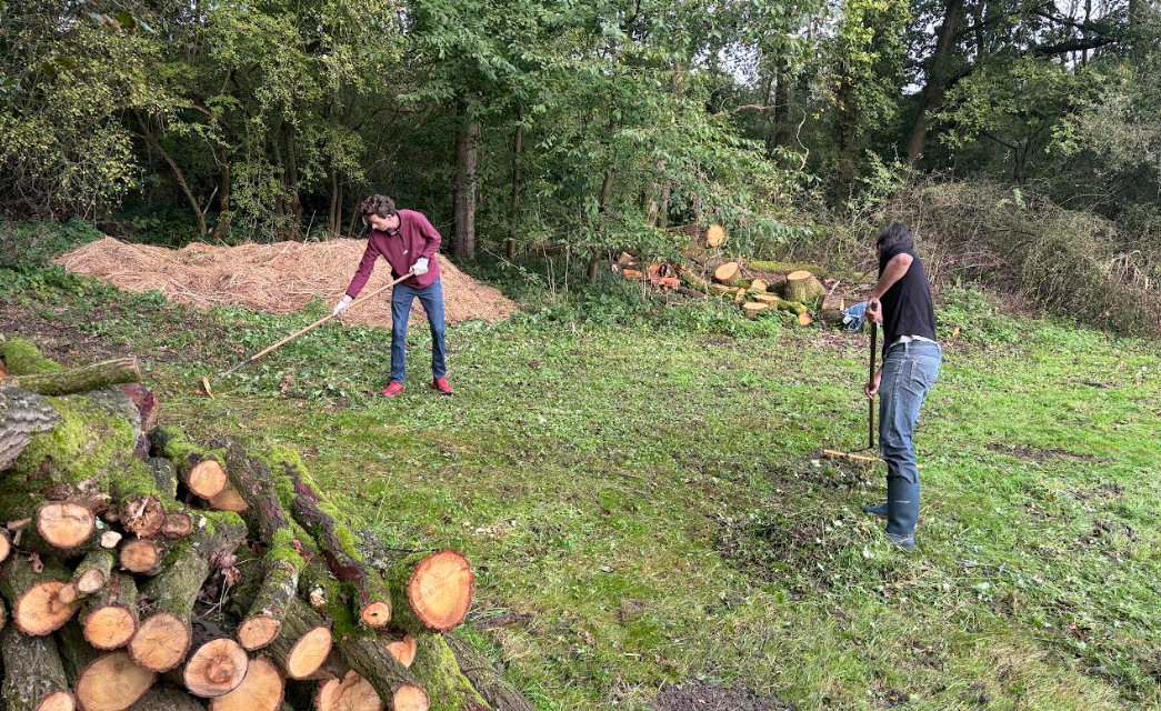 Natuurwerkdag voor een betere biodiversiteit