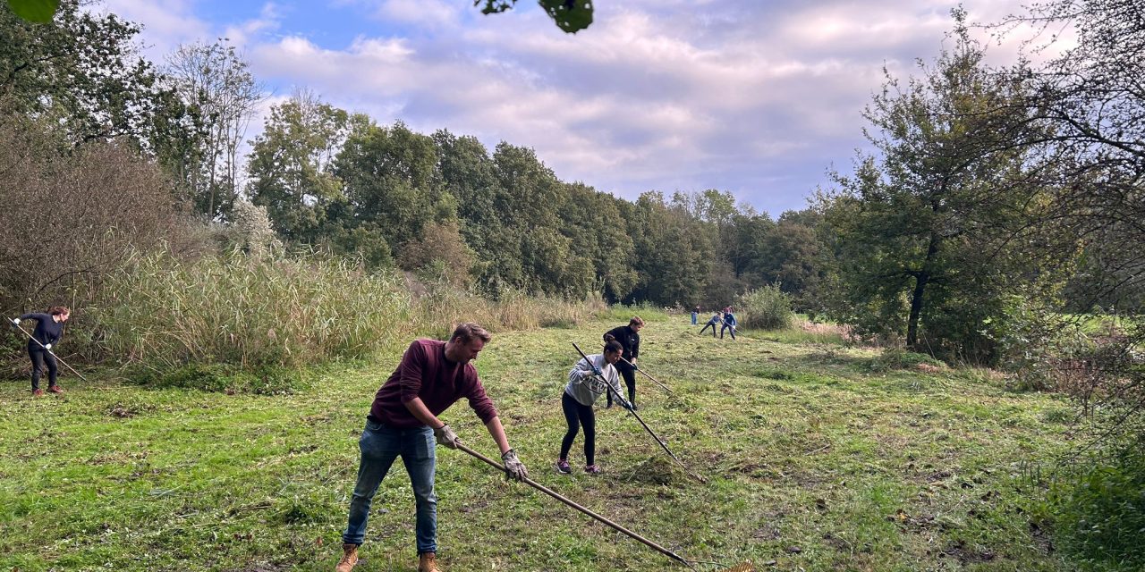 Groene initiatieven aan de Princetonlaan