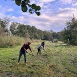 Groene initiatieven aan de Princetonlaan