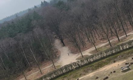 Bomen tegen de Betonplannen: De Strijd om Amelisweerd