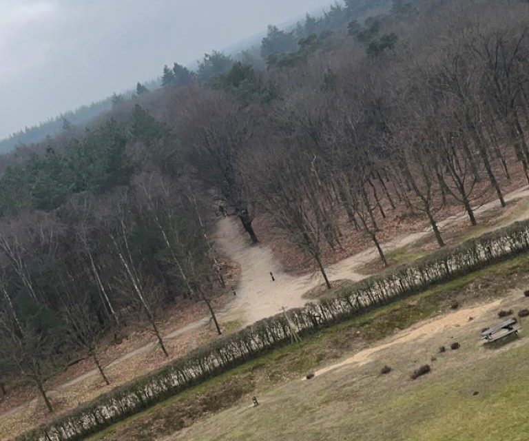 Bomen tegen de Betonplannen: De Strijd om Amelisweerd