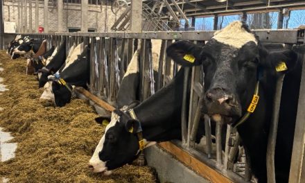 Biologisch eten: Is het zijn prijs waard?