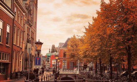 Utrechtse woon- en buurttevredenheid onder de loep: wat kan Overvecht leren van andere wijken in Utrecht?