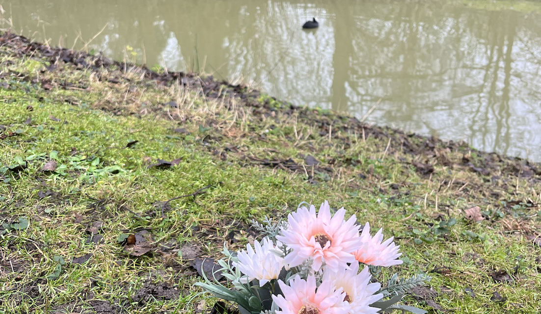 Hoe wordt er omgegaan met daklozen in Lunetten?